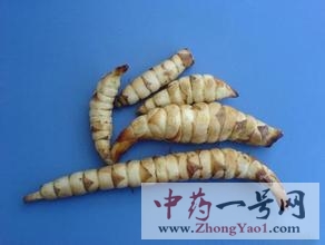 泽兰根的功效与作用-用法及别名-泽兰根图片