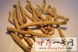 板蓝根的功效与作用-用法及别名-板蓝根图片