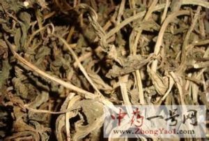 灵香草的功效与作用-用法及别名-灵香草图片