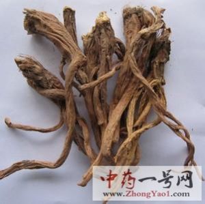 秦艽的功效与作用-用法及别名-秦艽图片