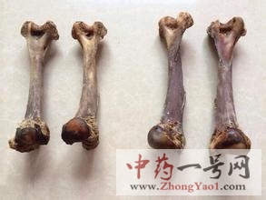 虎骨的功效与作用-用法及别名-虎骨图片