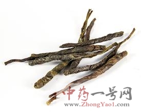 苦丁茶的功效与作用-用法及别名-苦丁茶图片