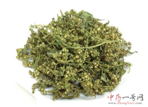 赶黄草的功效与作用-用法及别名-赶黄草图片