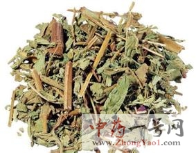 仙鹤草的功效与作用-用法及别名-仙鹤草图片